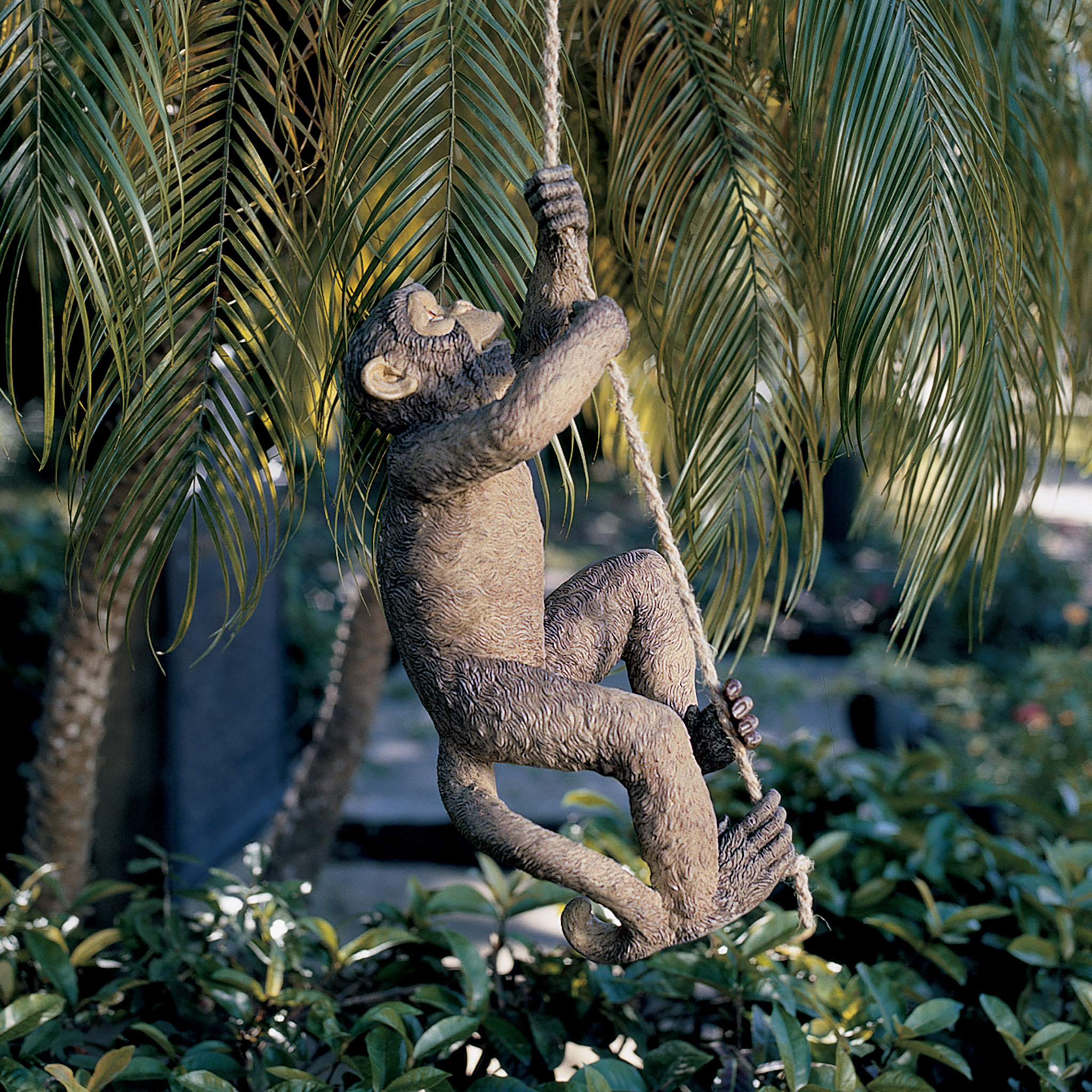 Design Toscano Makokou The Climbing Monkey Statue & Reviews | Wayfair